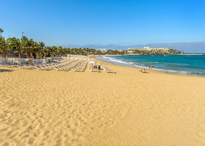 Lanzahost Cucharas Comfort