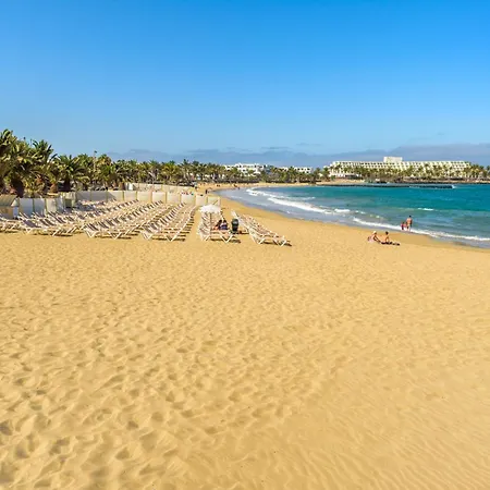 Lanzahost Cucharas Comfort