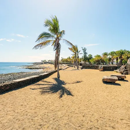 Lanzahost Cucharas Comfort *