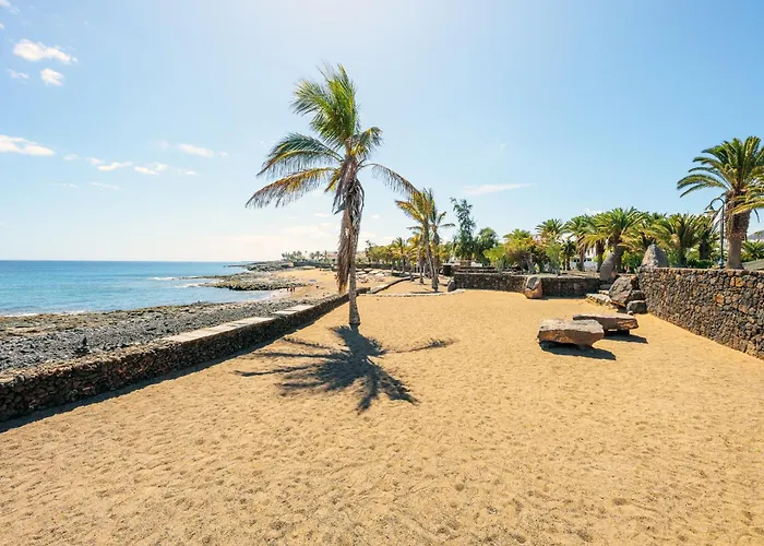 Lanzahost Cucharas Comfort *